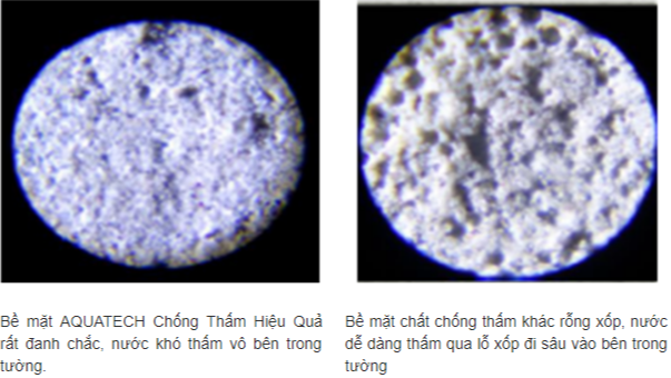 SƠN ĐỨC Ý - SƠN PHÚ THỊNH