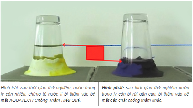 SƠN ĐỨC Ý - SƠN PHÚ THỊNH