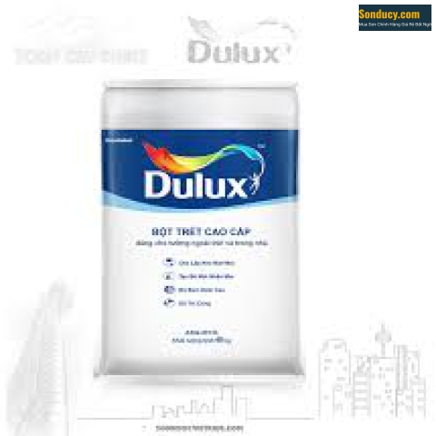 Bột trét cao cấp Dulux